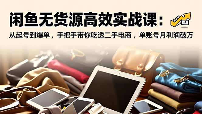 (16875期)闲鱼无货源高效实战课:从起号到爆单,手把手带你吃透二手电商,单账号月利润破万-网赚副业网