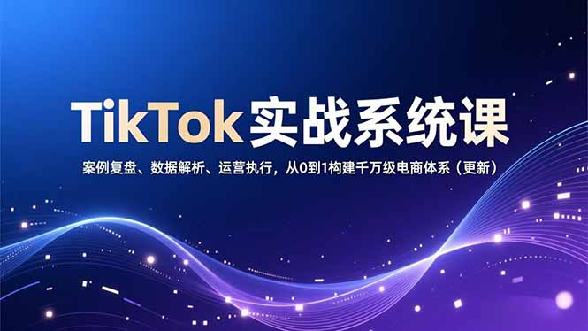 (16918期)TikTok实战系统课,案例复盘、数据解析、运营执行,从0到1构建千万级电商体系(更新)-网赚副业网