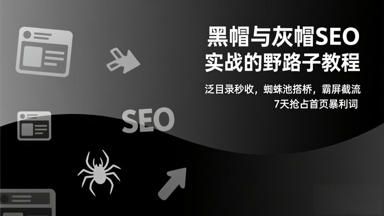 （17125期）黑帽与灰帽SEO实战的野路子教程：泛目录秒收，蜘蛛池搭桥，霸屏截流，7天抢占首页暴利词-网赚副业网