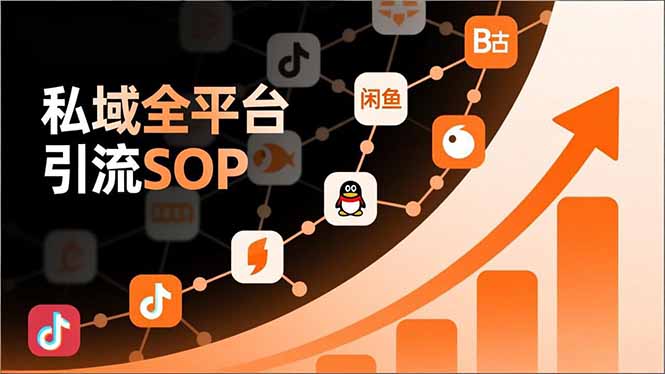 (16994期)私域全平台引流SOP,抖音/快手/小红书/微信/QQ/B站/闲鱼等,技术合集,高效转化公域流量-网赚副业网
