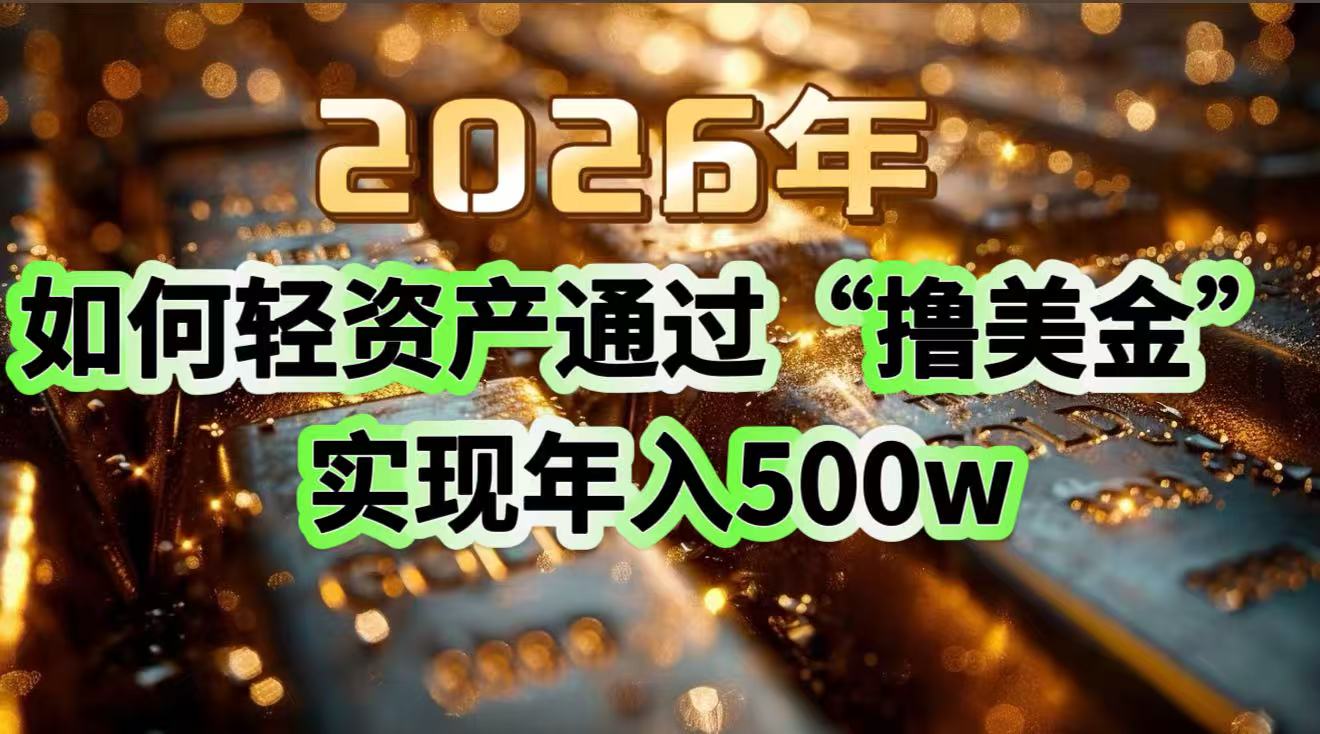 (17033期)2026年如何轻资产通过“撸美金”实现年入500w-网赚副业网
