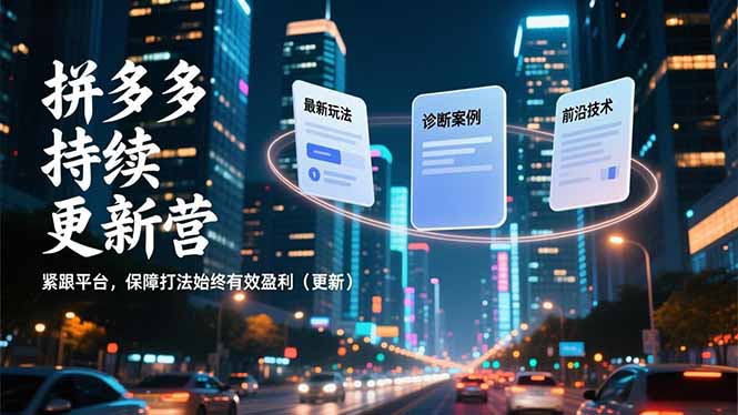 (16987期)拼多多持续更新营,最新玩法、诊断案例、前沿技术,紧跟平台,保障打法始终有效盈利(更新)-网赚副业网