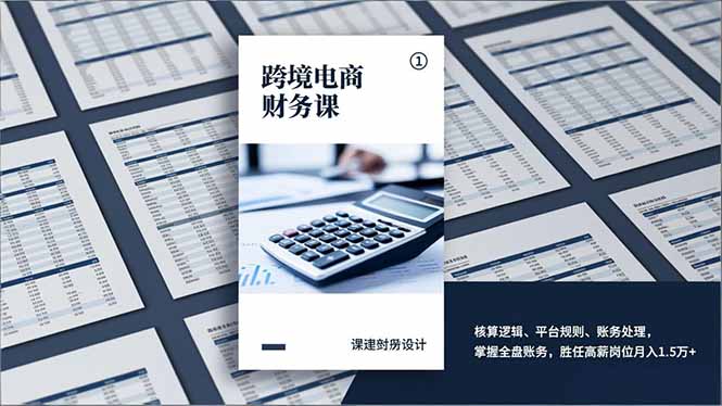 （17036期）跨境电商财务课，核算逻辑、平台规则、账务处理，掌握全盘账务，胜任高薪岗位月入1.5万+-网赚副业网