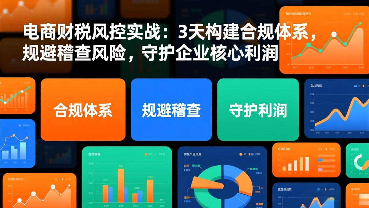 (17197期)电商财税风控实战:3天构建合规体系,规避稽查风险,守护企业核心利润-网赚副业网