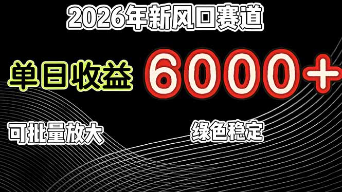 (17135期)2026年新风口赛道,当日6000+以上,可批量放大,月收入20万+,长期绿色稳定的项目-网赚副业网