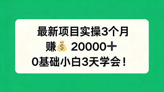 (17856期)最新项目实操3个月,赚钱20000+,0基础小白3天学会!-网赚副业网
