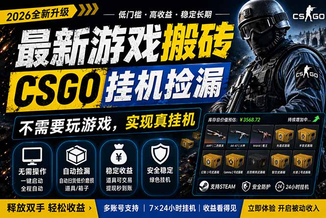 (18182期)最新游戏搬砖,CSGO纯挂机,不需要玩游戏,实现真挂机,月入1W+,五一小高峰上车可吃肉,...-网赚副业网