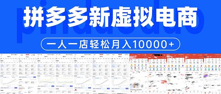 (17978期)拼多多虚拟电商一人一店轻松月入10000+-网赚副业网