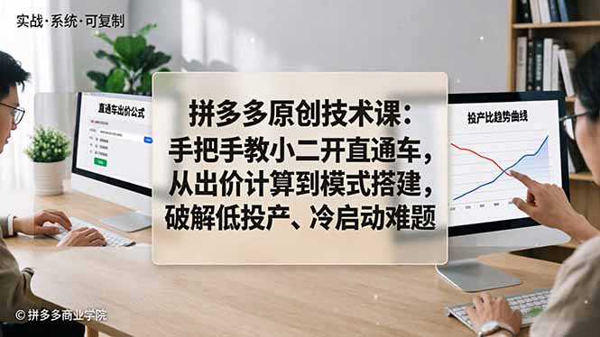 (18159期)拼多多原创技术课:手把手教小二开直通车,从出价计算到模式搭建,破解低投产、冷启动难题-网赚副业网