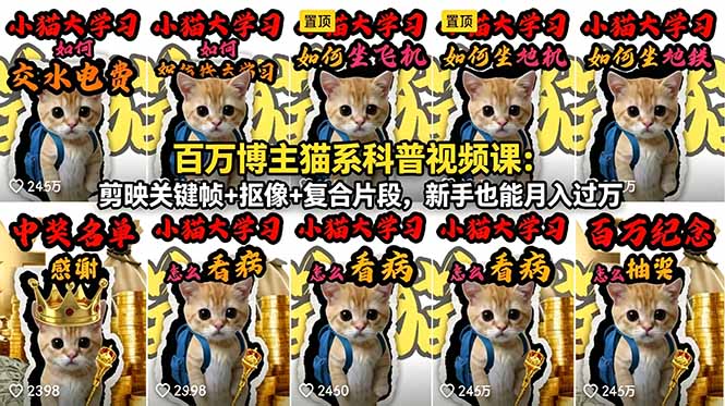 (18595期)百万博主猫系科普视频课:剪映关键帧+抠像+复合片段,新手也能月入过万-网赚副业网