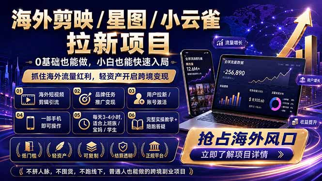 (18567期)海外剪映 / 星图 / 小云雀拉新项目 普通人也能上手的跨境流量变现副业-网赚副业网
