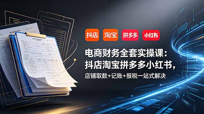 (19001期)电商财务全套实操课:抖店淘宝拼多多小红书,店铺取数+记账+报税一站式解决-网赚副业网