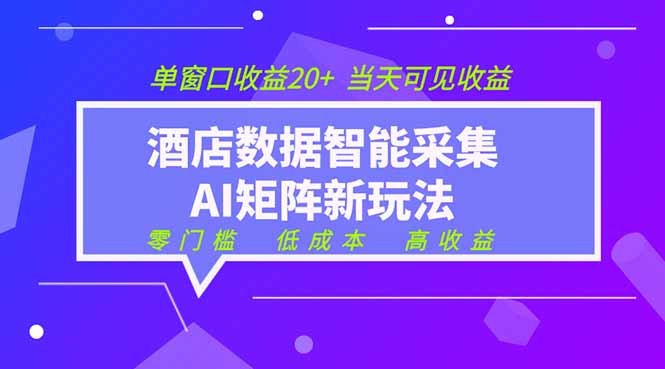 (19041期)2026酒店数据采集ai智能矩阵新风口 低成本 高收益 当天见收益 单窗口20+-网赚副业网