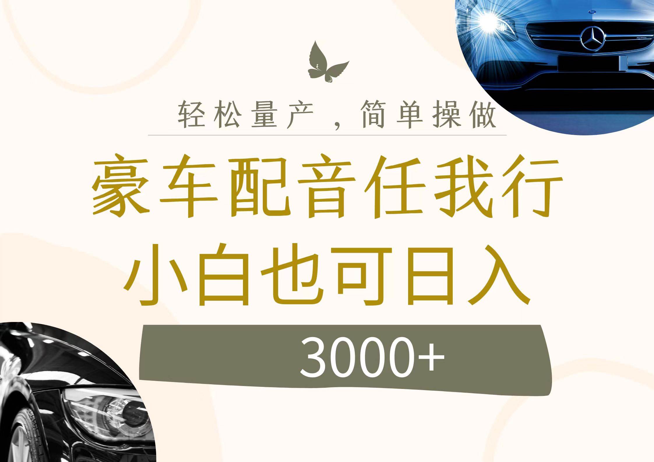 不为人知的暴力小项目，豪车配音，日入3000+-网赚资源网
