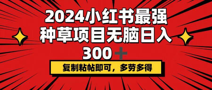 2024小红书最强种草项目，无脑日入300+，复制粘帖即可，多劳多得-网赚资源网