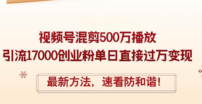 精华帖视频号混剪500万播放引流17000创业粉，单日直接过万变现，最新方…-网赚资源网